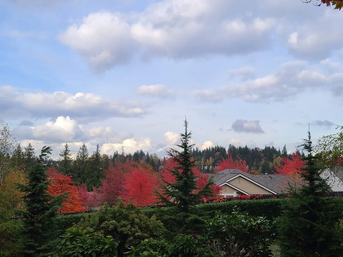 Sammamish Washington